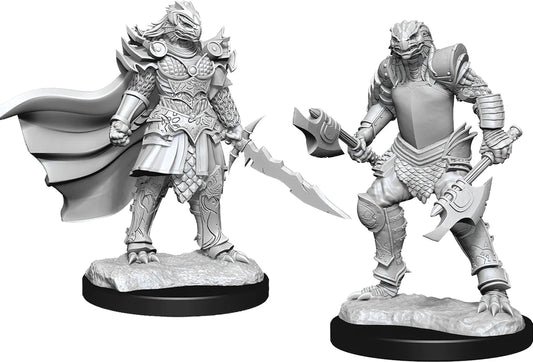 D&D Nolzur's Marvelous Miniatures: W15 - Dragonborn Fighter Female