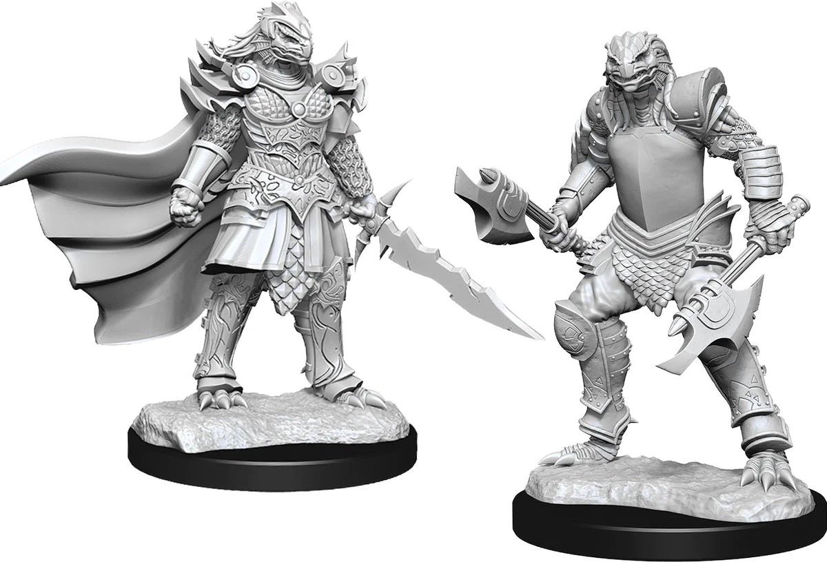 D&D Nolzur's Marvelous Miniatures: W15 - Dragonborn Fighter Female