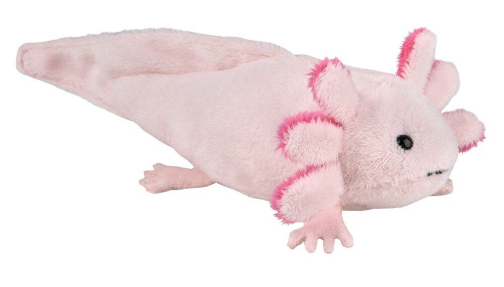 Mighty Mights - Axolotl