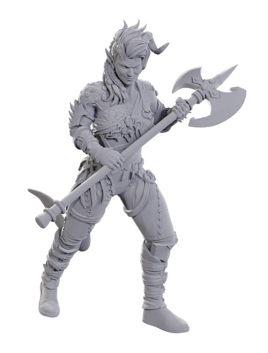 Dungeons & Dragons: Nolzur's Marvelous Unpainted Miniatures - Special Edition Baldur's Gate 3, Wyll & Karlach