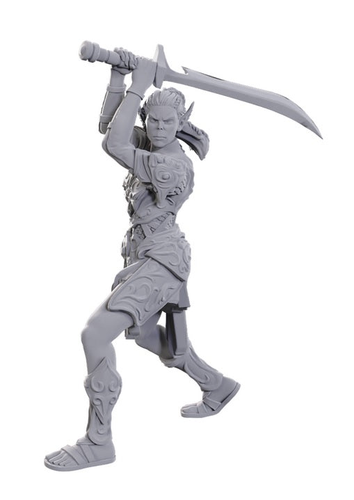 Dungeons & Dragons: Nolzur's Marvelous Unpainted Miniatures - Special Edition Baldur's Gate 3, Lae'zel & Shadowheart