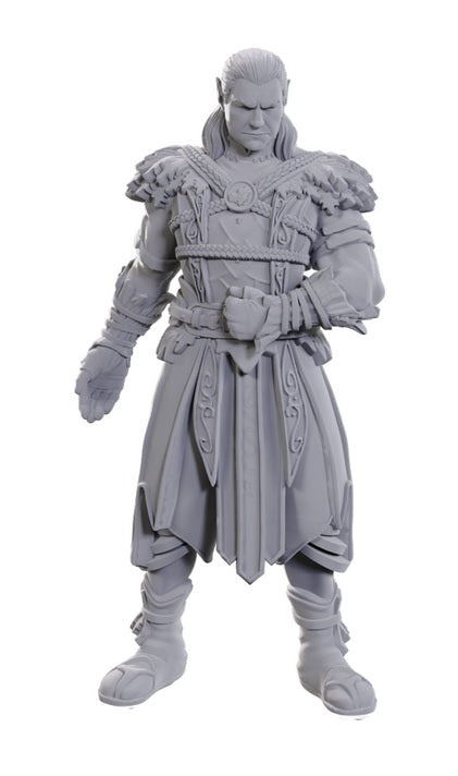 Dungeons & Dragons: Nolzur's Marvelous Unpainted Miniatures - Special Edition Baldur's Gate 3, Jaheira & Halsin