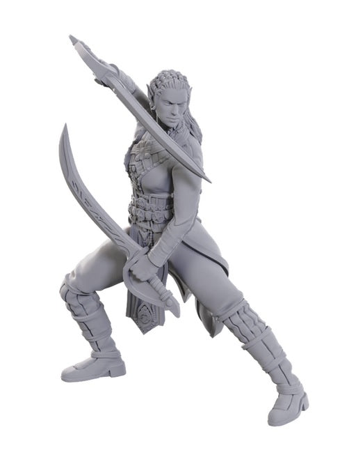 Dungeons & Dragons: Nolzur's Marvelous Unpainted Miniatures - Special Edition Baldur's Gate 3, Jaheira & Halsin