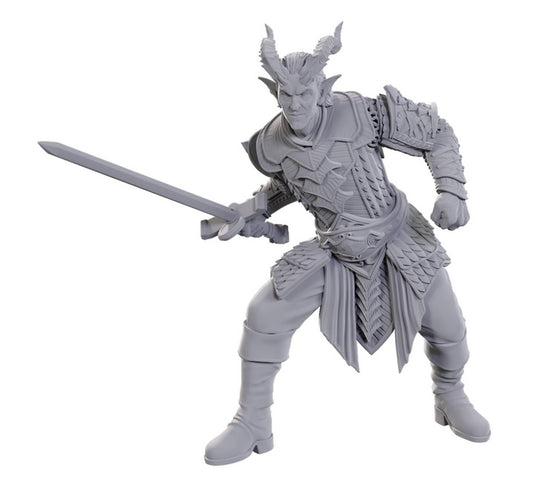 Dungeons & Dragons: Nolzur's Marvelous Unpainted Miniatures - Special Edition Baldur's Gate 3, Ulder Ravengard & Zevlor