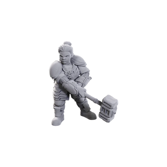 D&D Nolzur’s Marvelous Miniatures: Limited Edition 50th Anniversary - Dwarves