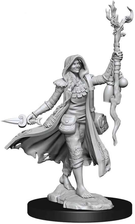 D&D Frameworks: W01 - Human Druid Female