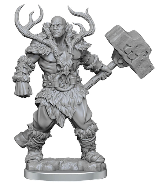 D&D FRAMEWORKS: GOLIATH BARBARIAN MALE