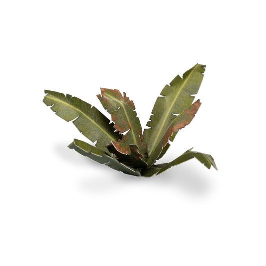 Banana Tree Laser Plants