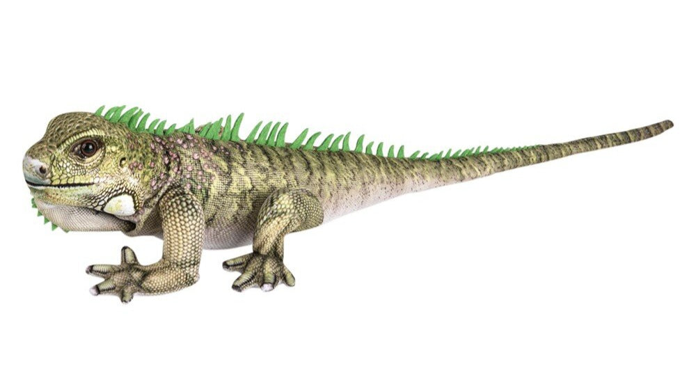 Plush Iguana