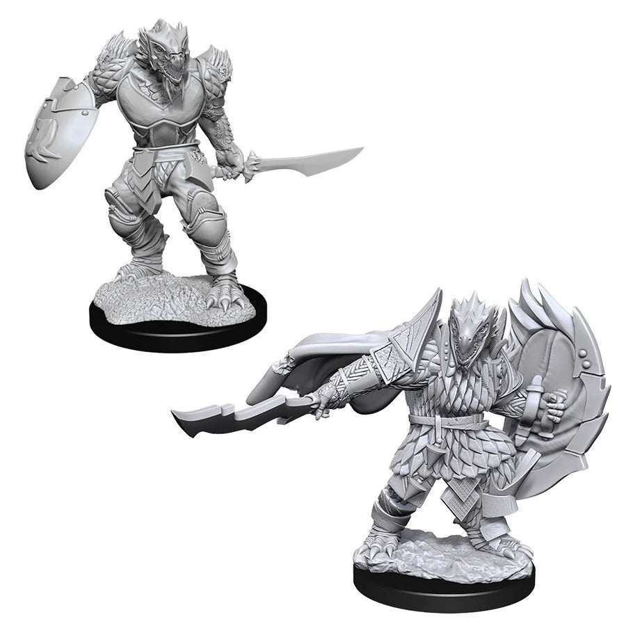 D&D Nolzur’s Marvelous Miniatures: W15 - Dragonborn Fighter Male