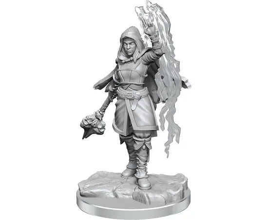 D&D Nolzur’s Marvelous Miniatures: W20 - Half-Elf Warlock