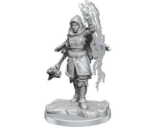 D&D Nolzur’s Marvelous Miniatures: W20 - Half-Elf Warlock