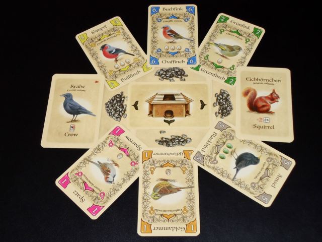 PIEPMATZ - LITTLE SONGBIRDS