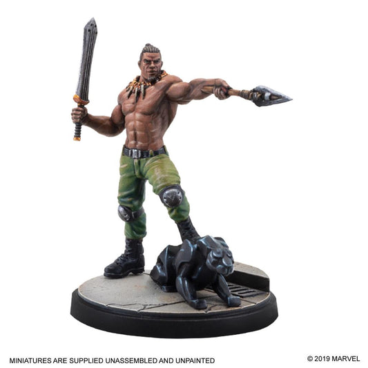 Marvel Crisis Protocol - Black Panther & Killmonger