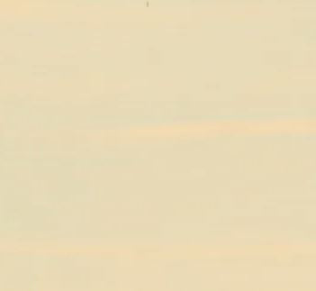 Huge Miniatures - Bone White Paint