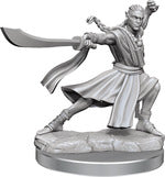 D&D Frameworks Elf Monk