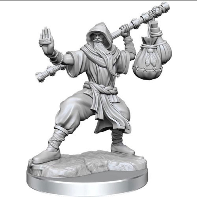 D&D Frameworks Human Monk