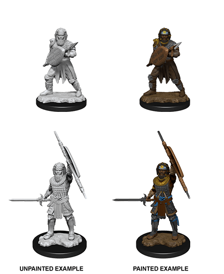 D&D Nolzur's Marvelous Unpainted Miniatures: W13 - Male Human Fighter