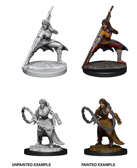 D&D Nolzur's Marvelous Unpainted Miniatures: W13 - Male Human Barbarian