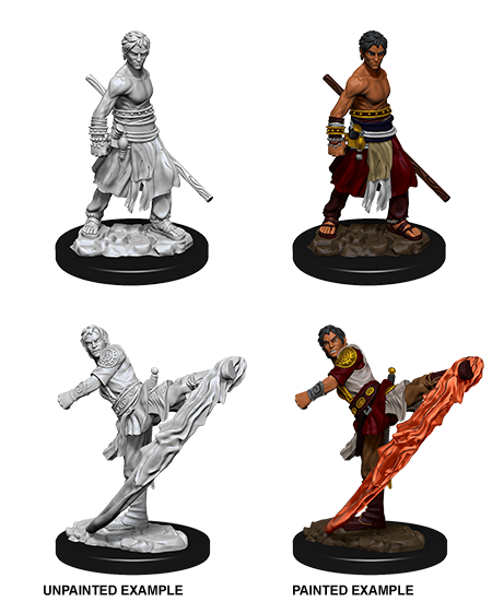 D&D Nolzur’s Marvelous Miniatures: Half-Elf Monk