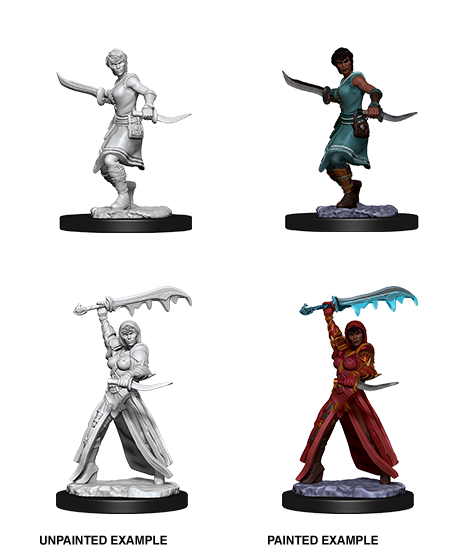 D&D Nolzur's Marvelous Miniatures: W10 Female Human Rogue
