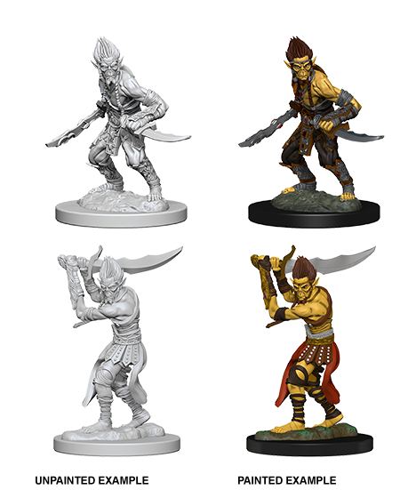 D&D Nolzur’s Marvelous Miniatures