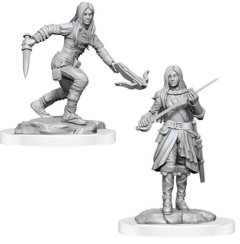 D&D Nolzur`s Marvelous Miniatures: W17 - Half-Elf Rogue Female