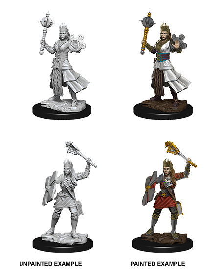 D&D Nolzur’s Marvelous Miniatures: W08 - Female Human Cleric