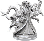 D&D Frameworks Tiefling Warlock