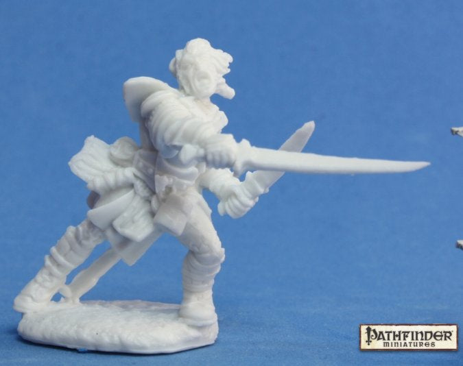 Reaper Pathfinder Miniatures