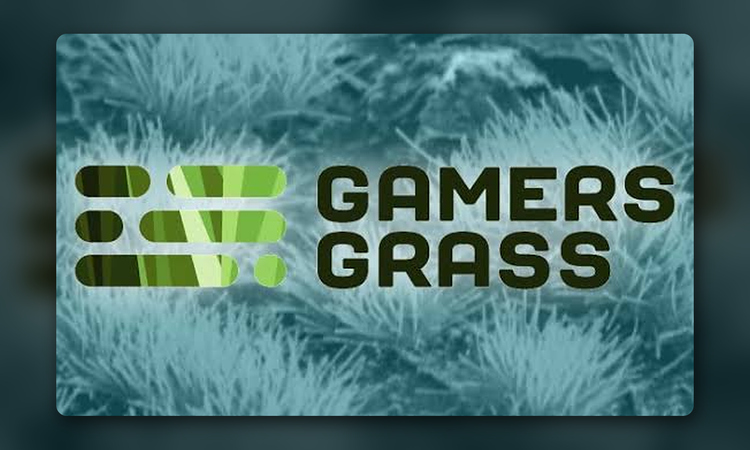 Gamers Grass