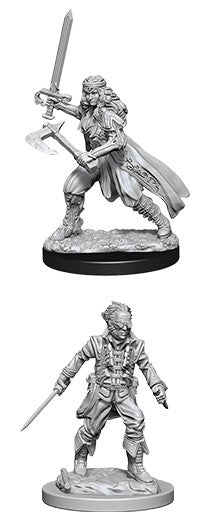 D&D Nolzur’s Marvelous Miniatures: W08 - Vampire Hunters