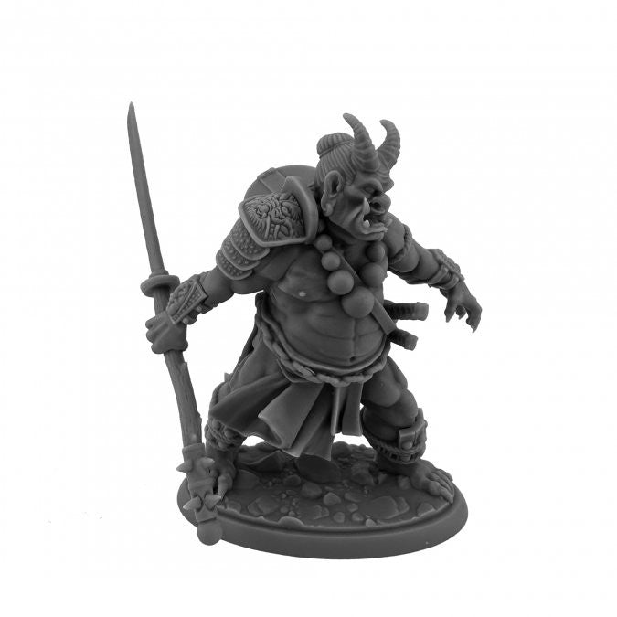 Dungeon Dwellers Bones: Ogre Magi