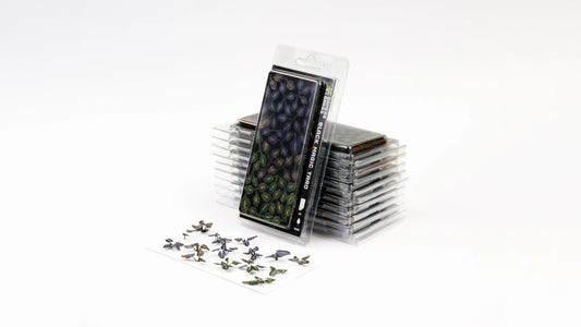 Black Magic Taro Laser Plants