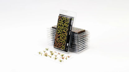 Deer Fern Laser Plants