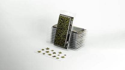 Dumb Cane Laser Plants