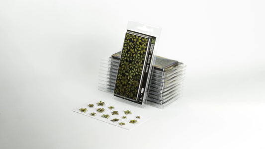 Dumb Cane Laser Plants