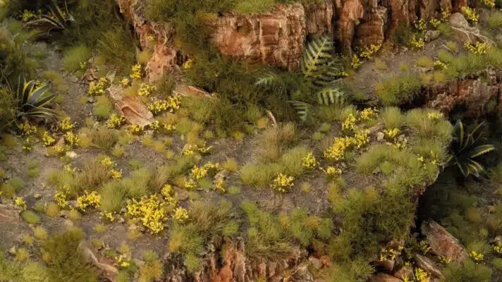 Gamers Grass: Dandelion Tiny Flowers