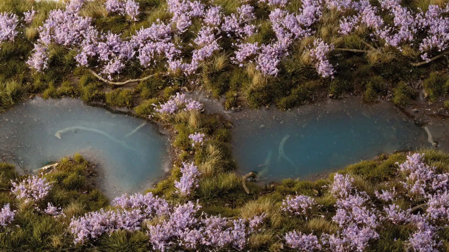 Gamers Grass:  Lavender Flowers