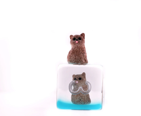 Foam Brain - Soft Kitten RPG Dice Set