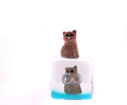 Foam Brain - Soft Kitten RPG Dice Set
