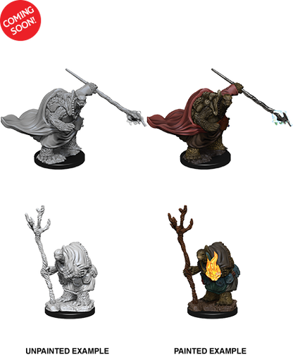 D&D Nolzur’s Marvelous Miniatures: W09 - Tortles Adventurers
