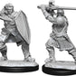 D&D Nolzur's Marvelous Miniatures: W14 - Human Male Paladin