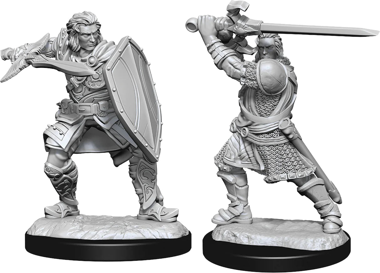 D&D Nolzur's Marvelous Miniatures: W14 - Human Male Paladin