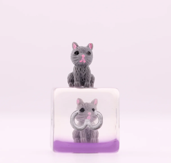 Foam Brain - Cozy Cat Dice Set