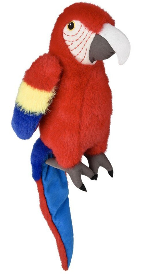 Animal Den - Color Macaw