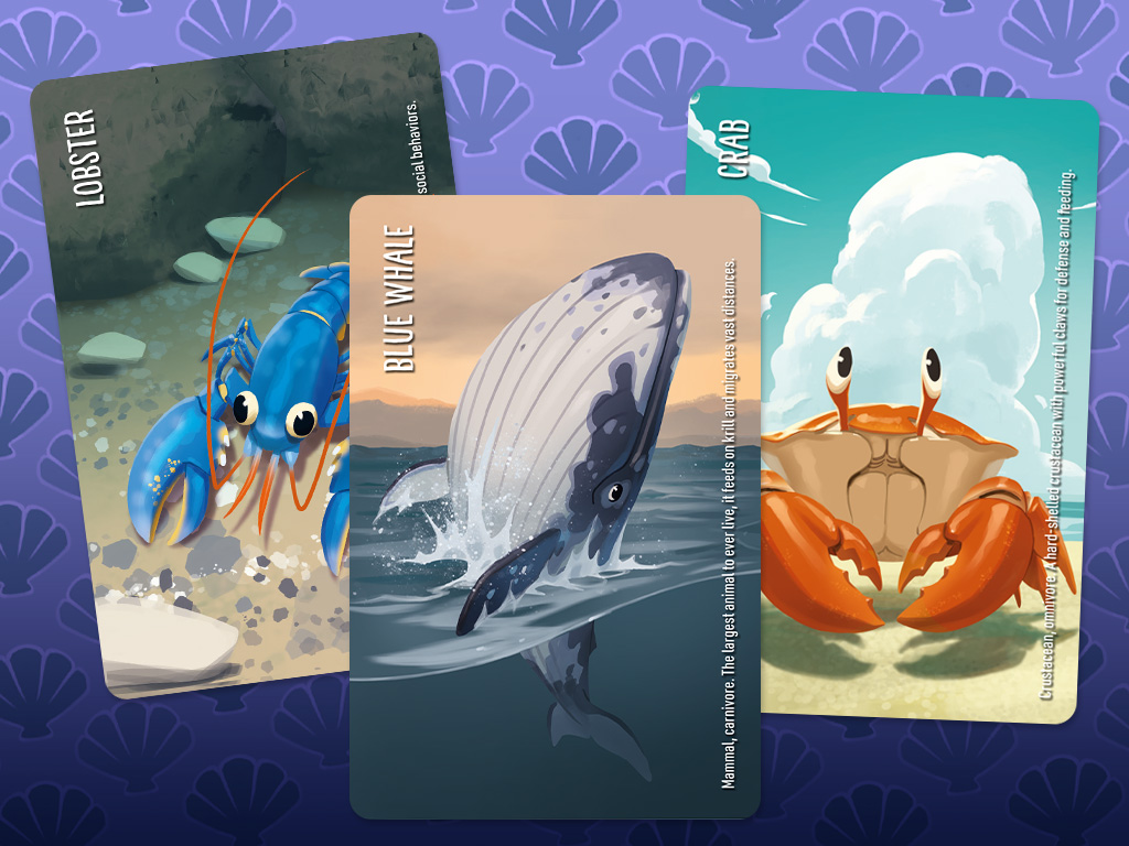 Similo: Aquatic Animals