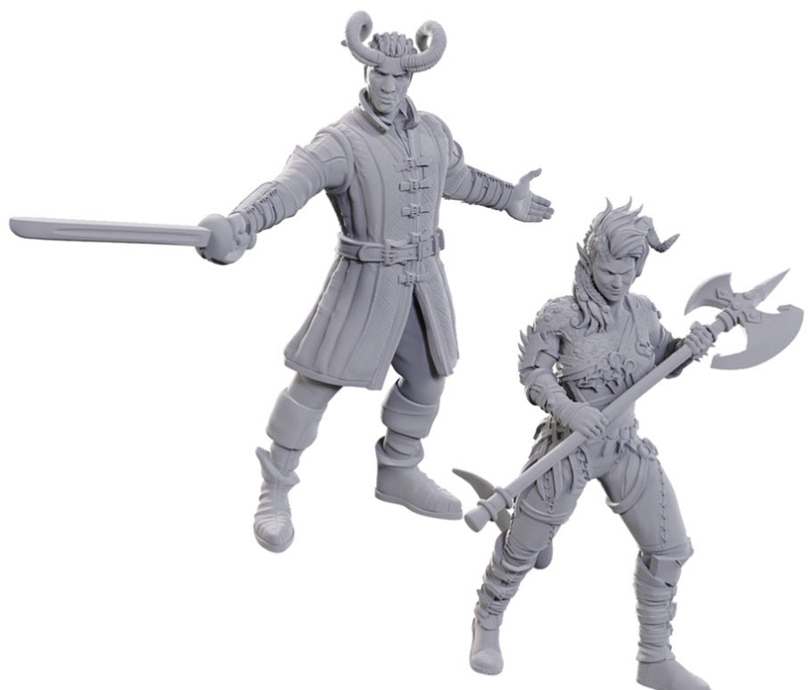 Dungeons & Dragons: Nolzur's Marvelous Unpainted Miniatures - Special Edition Baldur's Gate 3, Wyll & Karlach
