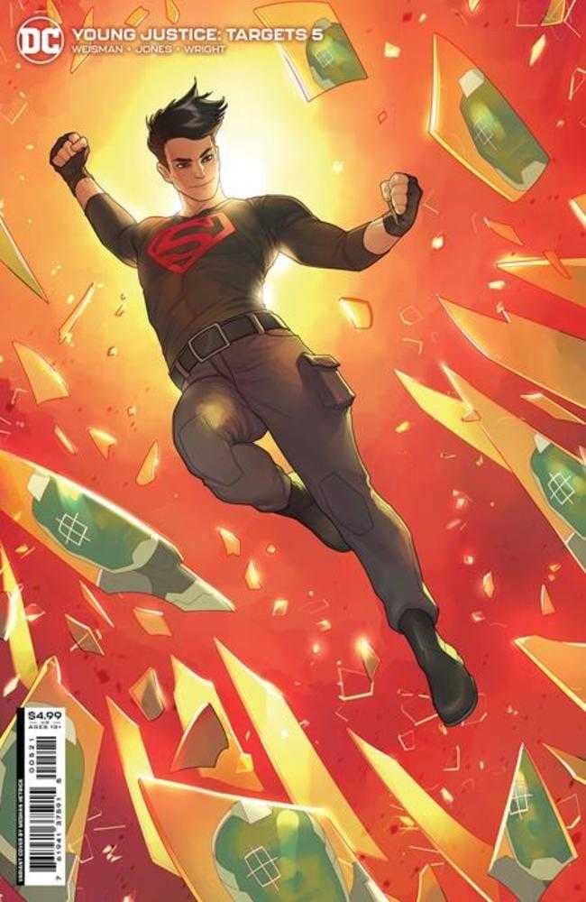 Young Justice Targets Mini Series Bundle