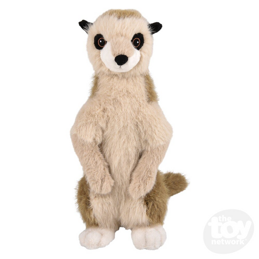 Animal Den - Meerkat